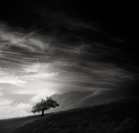 Andy Lee