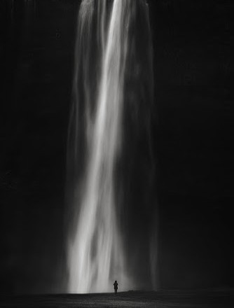 Andy Lee