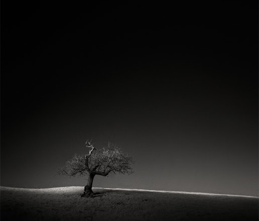 Andy Lee