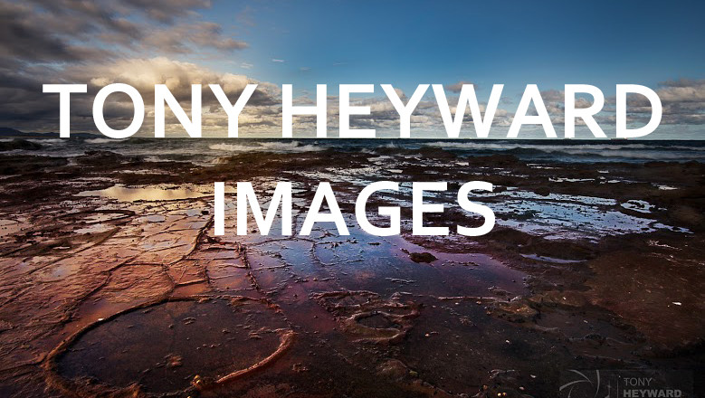 Tony Heyward Images