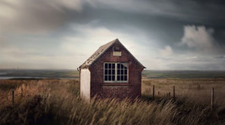 Andy Lee